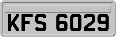 KFS6029