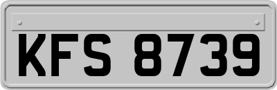 KFS8739