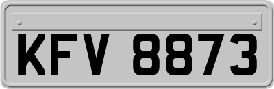 KFV8873