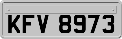 KFV8973