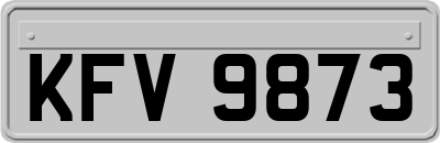 KFV9873