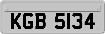 KGB5134