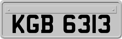 KGB6313