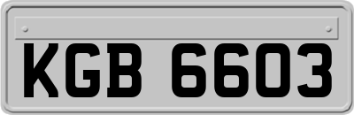KGB6603