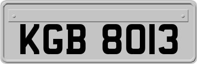 KGB8013