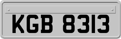 KGB8313