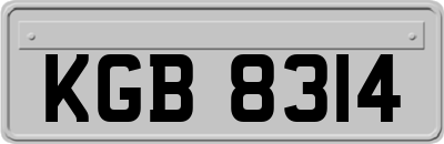KGB8314
