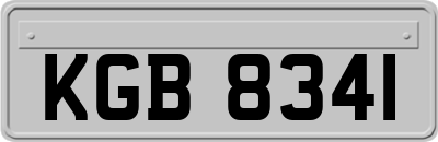 KGB8341