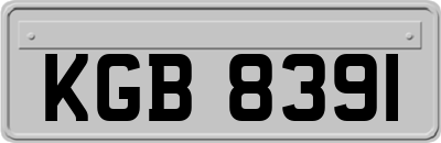 KGB8391