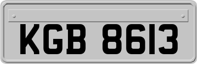 KGB8613
