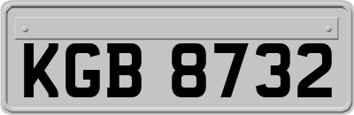 KGB8732