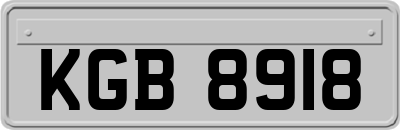 KGB8918