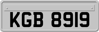 KGB8919