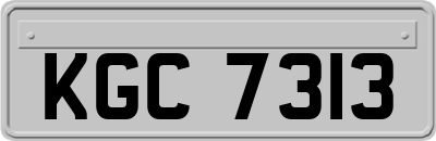 KGC7313