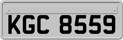 KGC8559