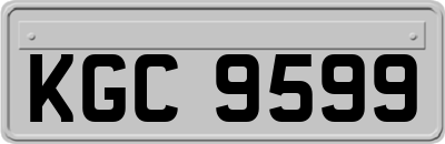 KGC9599