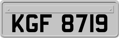 KGF8719
