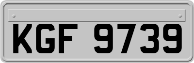 KGF9739