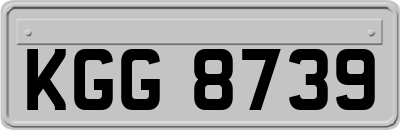 KGG8739