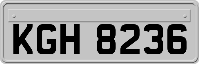 KGH8236