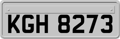 KGH8273