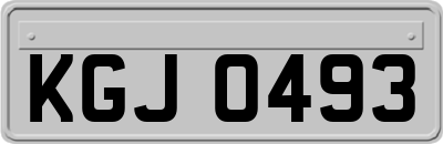 KGJ0493