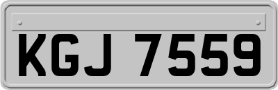 KGJ7559