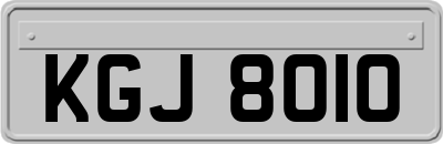 KGJ8010