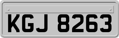 KGJ8263