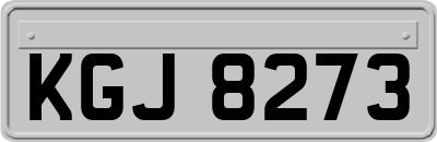 KGJ8273