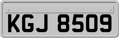 KGJ8509