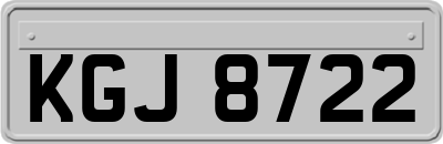 KGJ8722