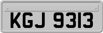 KGJ9313