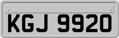 KGJ9920
