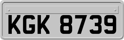 KGK8739