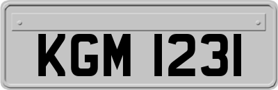 KGM1231