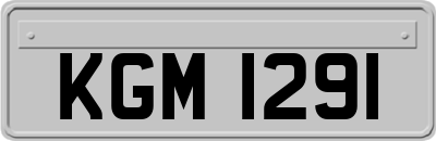 KGM1291