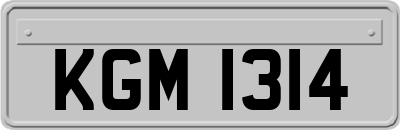 KGM1314