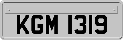 KGM1319
