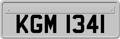 KGM1341