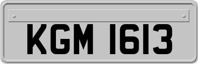 KGM1613
