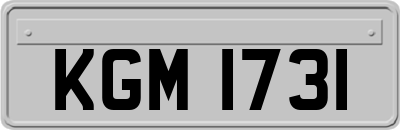 KGM1731