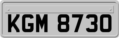 KGM8730