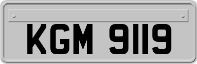 KGM9119
