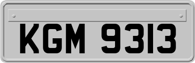 KGM9313