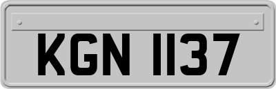 KGN1137