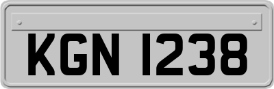 KGN1238