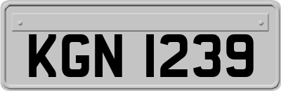 KGN1239