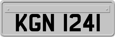 KGN1241