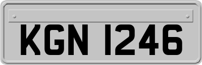 KGN1246